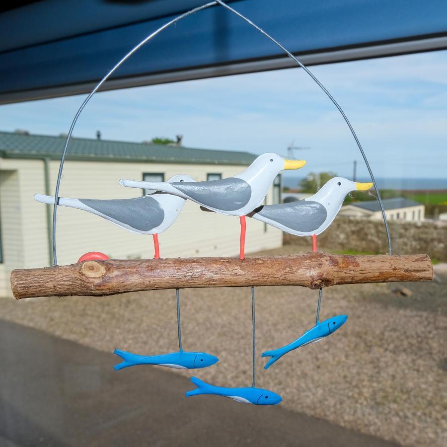 Kittiwake Lejlighed Saint Cyrus Eksteriør billede